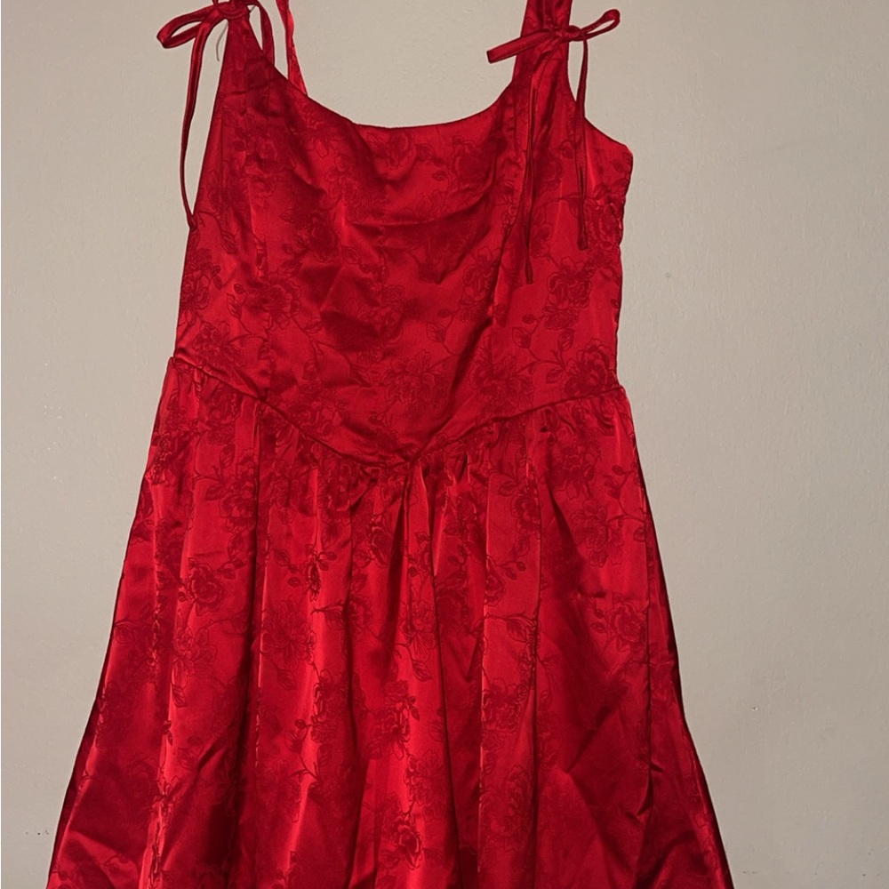 Francesca's Collections Vibrant Red Floral Dress
